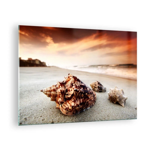 Obraz na skle - Mušle na pláži pri západe slnka - 70x50cm - Vyhnankyne vĺn - Moderná nástenná dekorácia do obývacej izby a spálne ARTTOR
