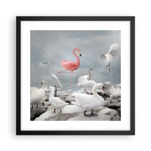 Plagát v čiernom ráme - Kde som sa tu vzal? - 40x40 cm