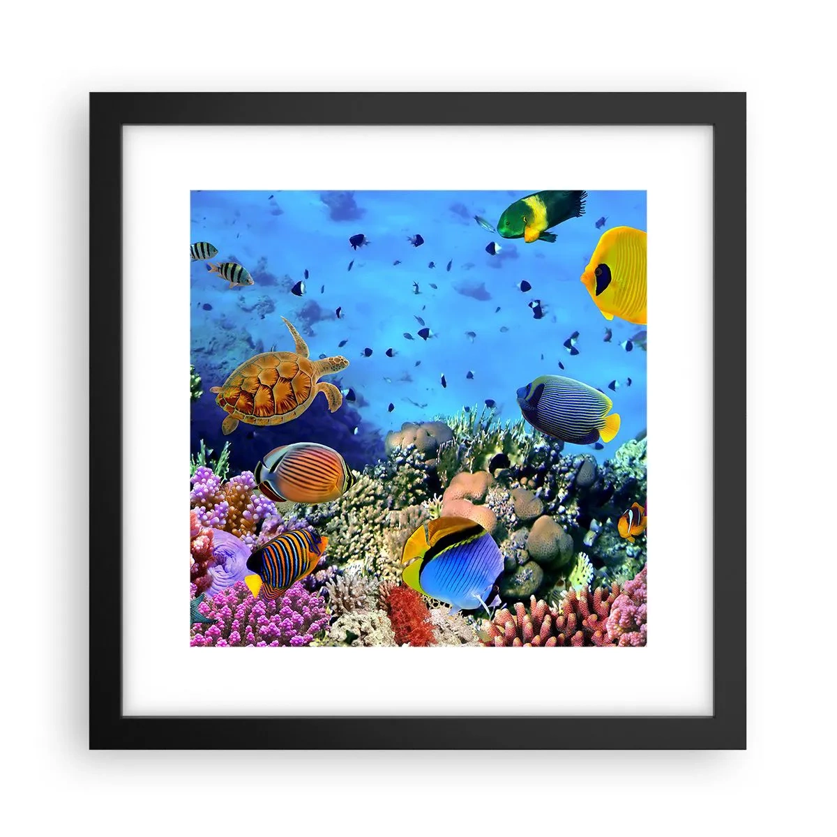 Plagát v čiernom ráme - Čo vieme o živote… - 30x30 cm