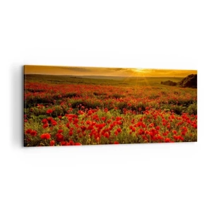 Obraz na plátne - Medzi vlnami šumiacich lúk, medzi záplavou kvetov - 100x40 cm