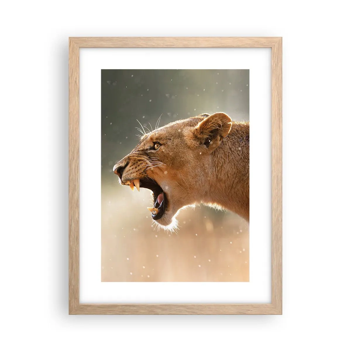 Plagát v ráme zo svetlého duba - Snaž sa nepočúvať - 30x40 cm