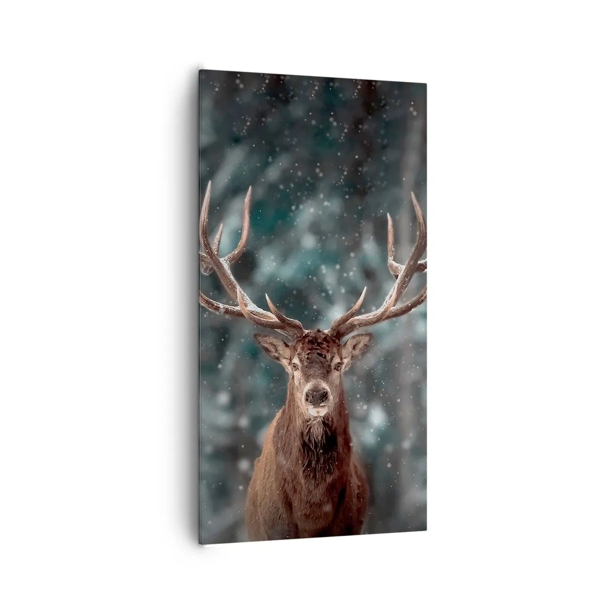 Obraz na plátne - Skutočný kráľ lesa - 65x120 cm