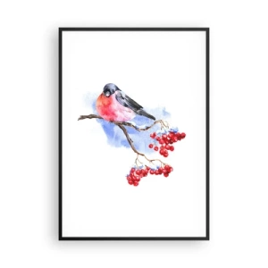 Plagát v čiernom ráme - Farebná zima - 70x100 cm