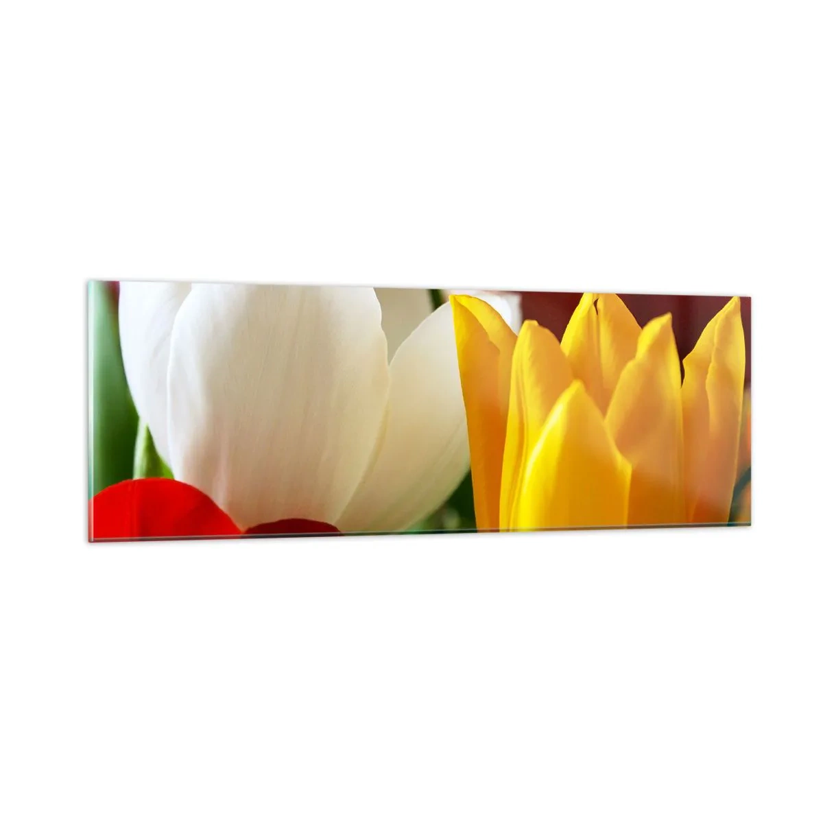 Obraz na skle - Tulipánová horúčka - 90x30 cm