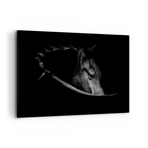 Obraz na plátne - Čierny knieža - 100x70 cm