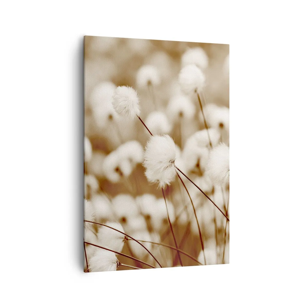 Obraz na plátne - Chlpatý lán - 70x100 cm