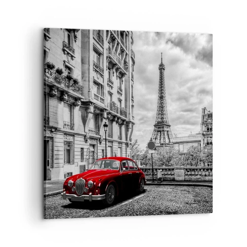 Obraz na plátne - Dravec v meste - 60x60 cm