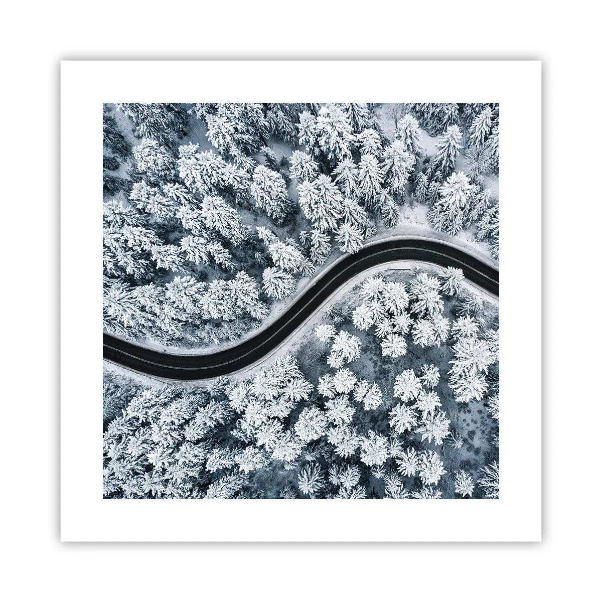 Plagát - Zimným lesom - 40x40 cm