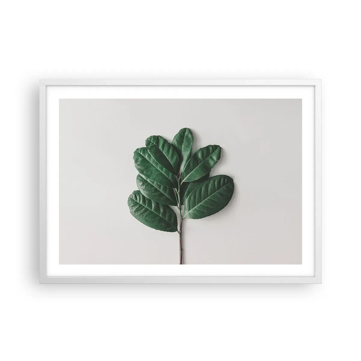 Plagát v bielom ráme - Kresba samotnej prírody - 70x50 cm