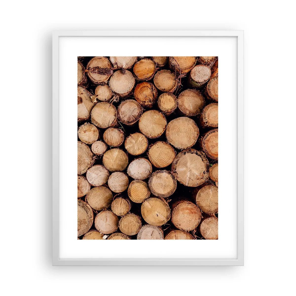 Plagát v bielom ráme - Nový začiatok - 40x50 cm