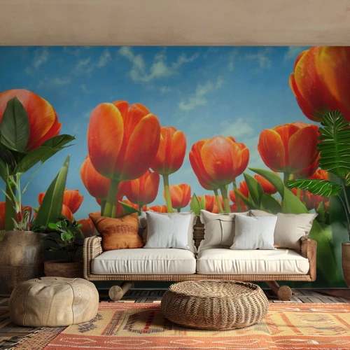 Fototapeta Premium Sand - Okrem blankytného neba nič v živote nepotrebujú - Kvety, Tulipány, Príroda - 300x210 cm