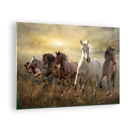 Obraz na skle - Stádo koní cválajúcich v lúčoch zapadajúceho slnka - 70x50cm - Nech žije sloboda! - Moderná nástenná dekorácia do obývacej izby a spálne ARTTOR