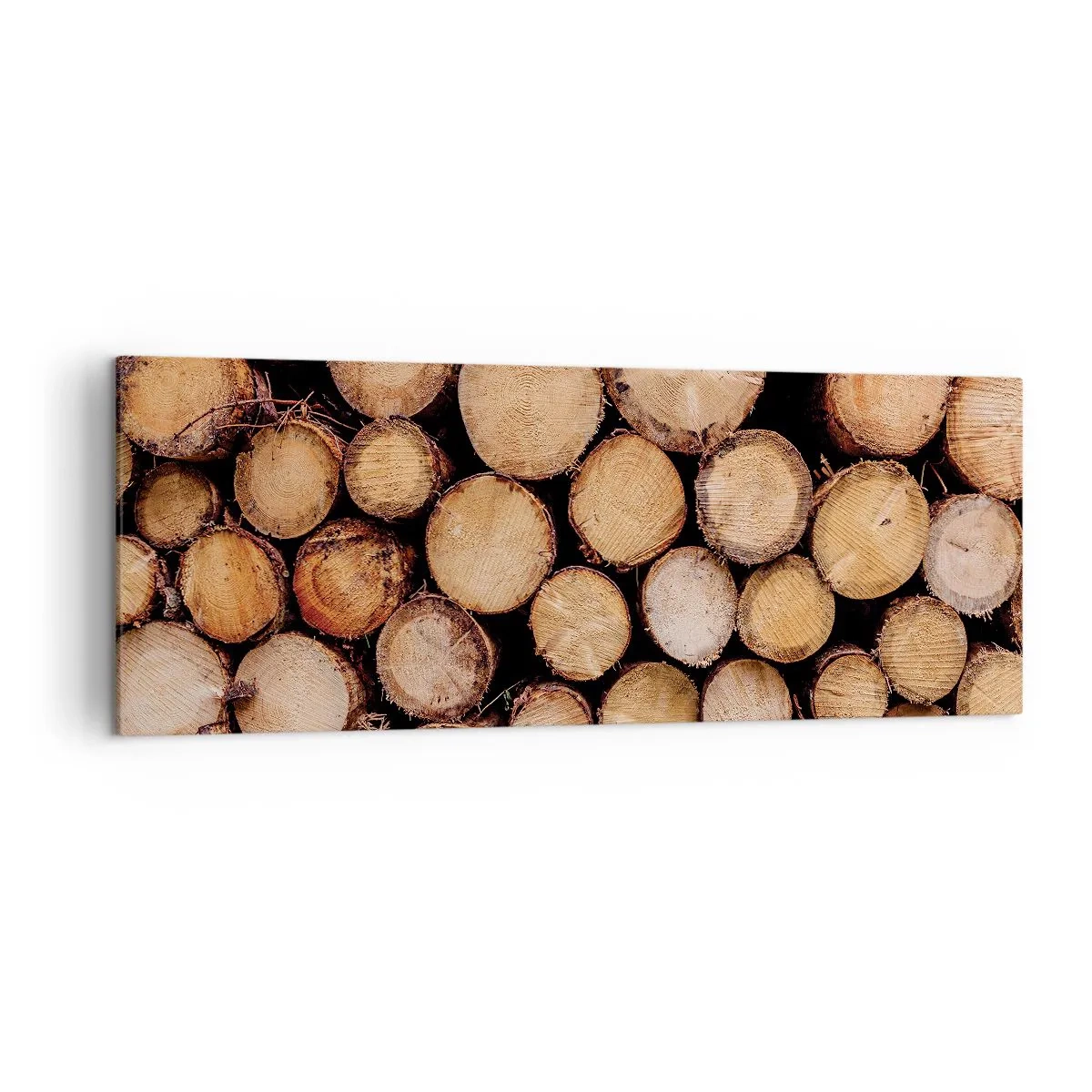 Obraz na plátne - Nový začiatok - 140x50 cm