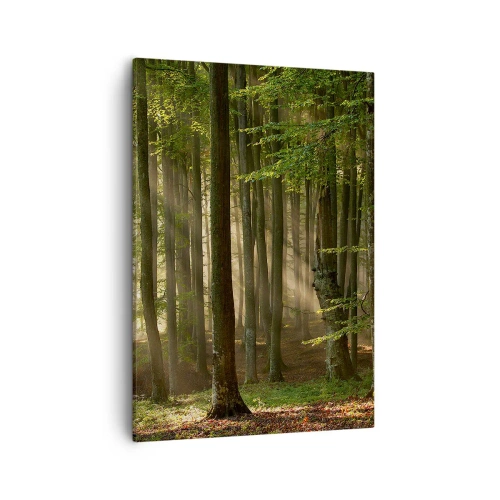 Obraz na plátne - Rozžiarený v jarnom ráne - 50x70 cm