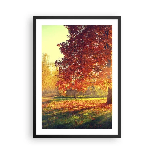 Plagát v čiernom ráme - Jesenný park so stromom so zlatými listami na slnku - 50x70cm - Červené je krásne - Moderná nástenná dekorácia do obývacej izby a spálne ARTTOR