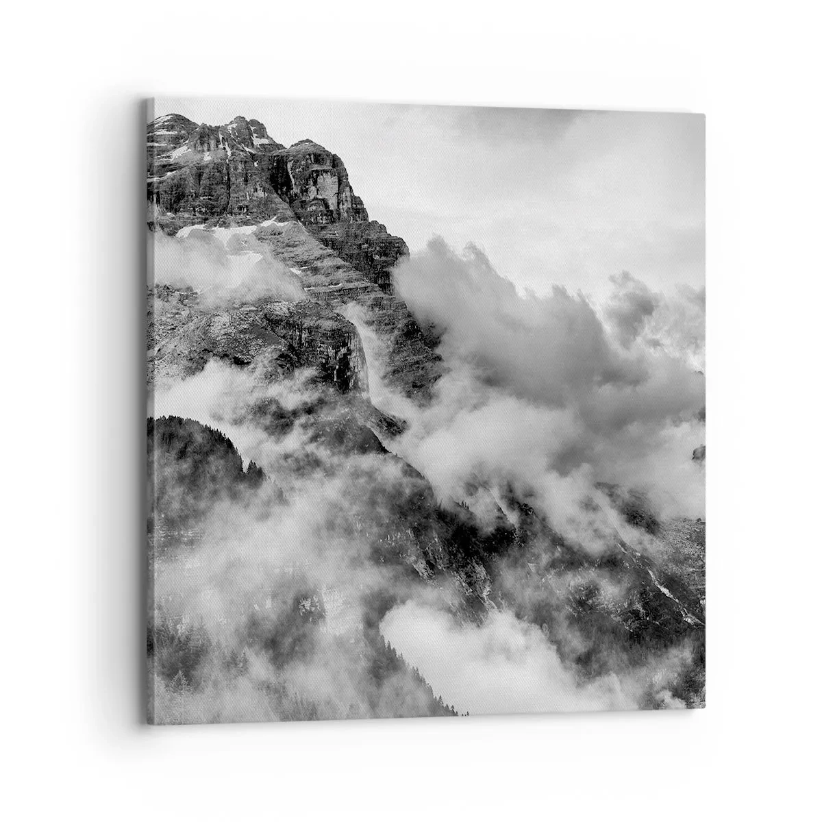 Obraz na plátne - Krásne a kruté - 70x70 cm