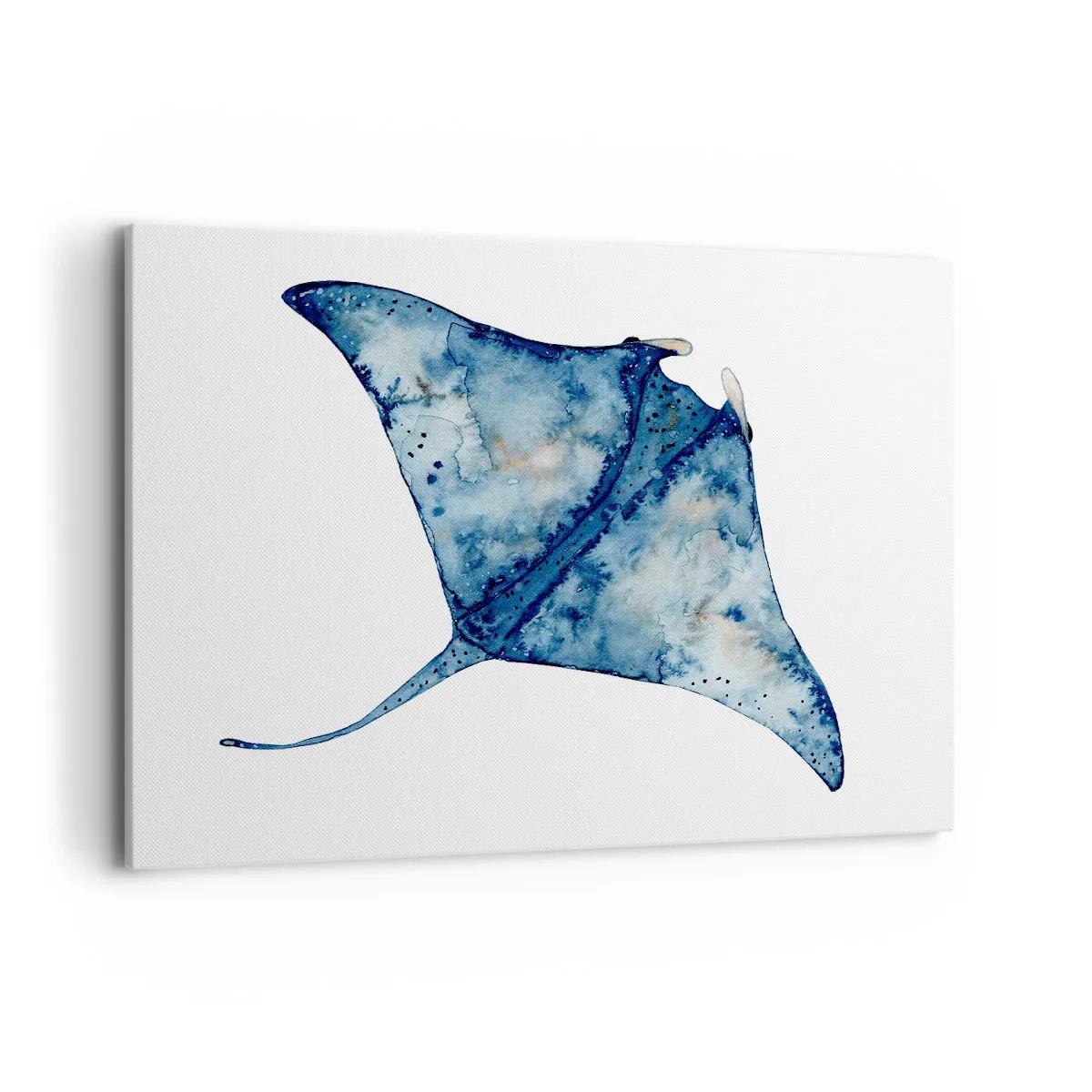 Obraz na plátne - Modrý život - 100x70 cm