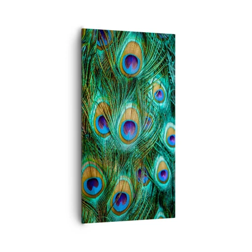 Obraz na plátne - Páví pohľad - 65x120 cm