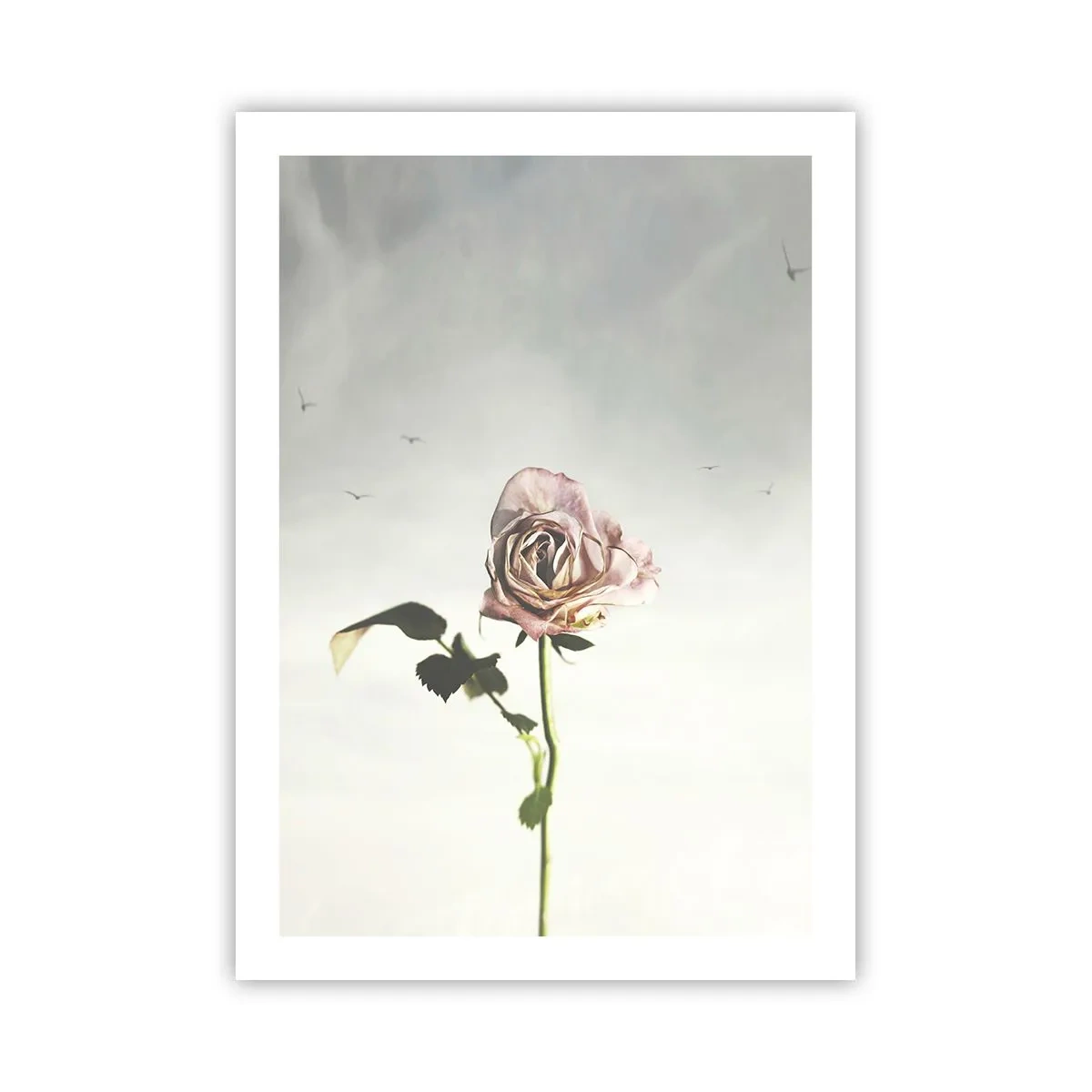 Plagát - Vítanie jari - 50x70 cm