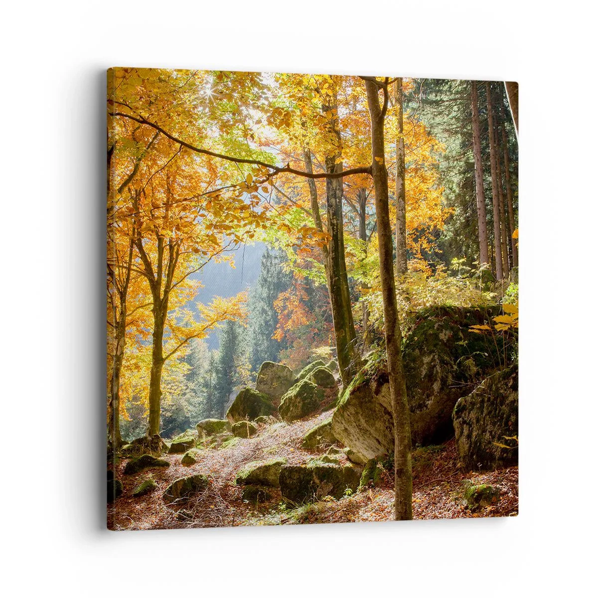 Obraz na plátne - Čas na odpočinok - 40x40 cm