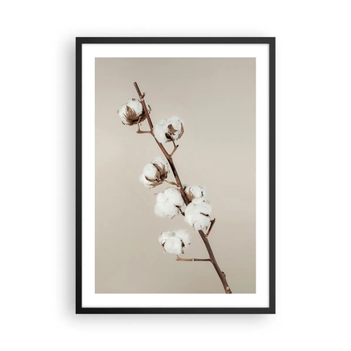 Plagát v čiernom ráme - Vetvička bavlny na béžovom pozadí v minimalistickom štýle - 50x70cm - Pri zdroji mäkkosti - Moderná nástenná dekorácia do obývacej izby a spálne ARTTOR