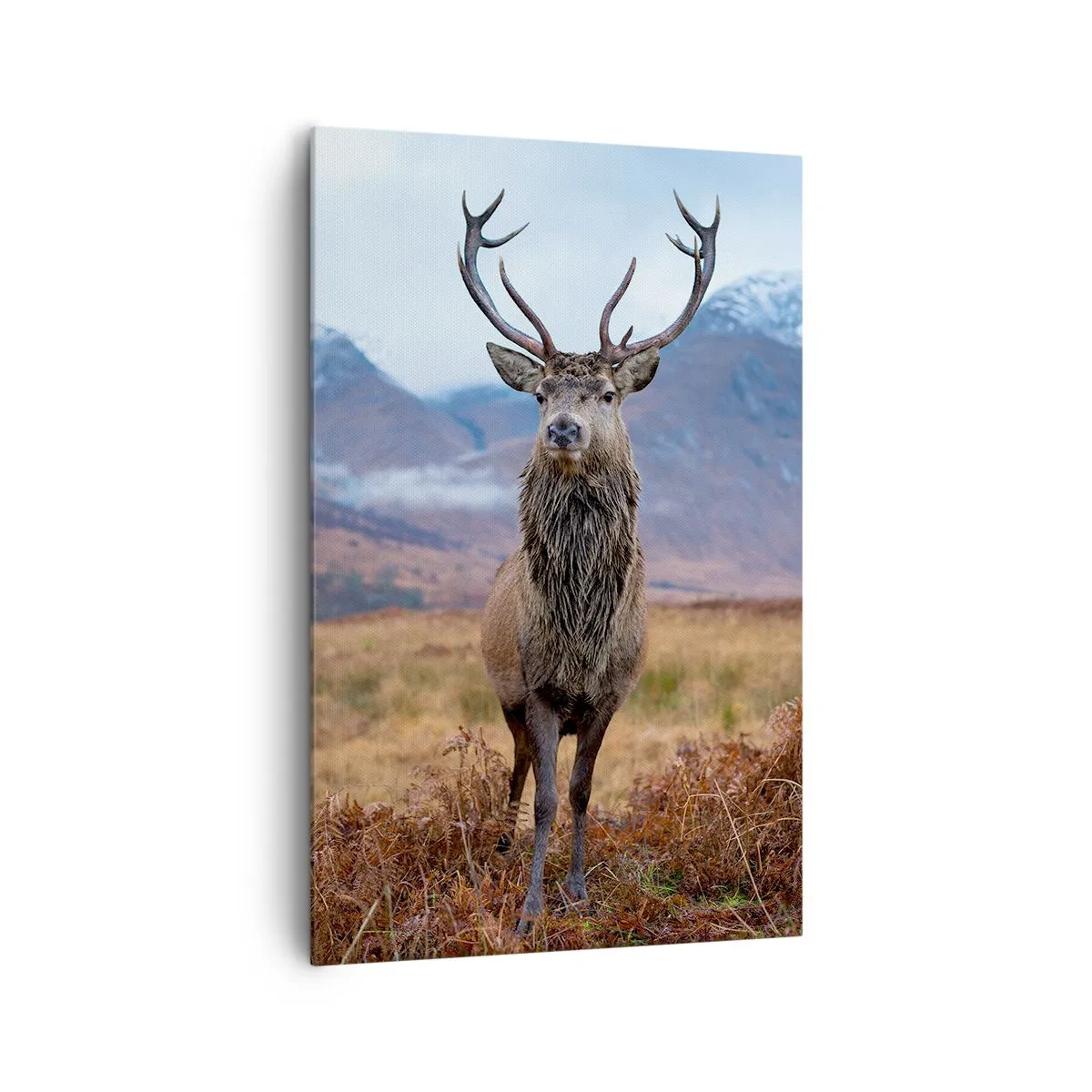 Obraz na plátne - Na vlastnej pôde - 80x120 cm