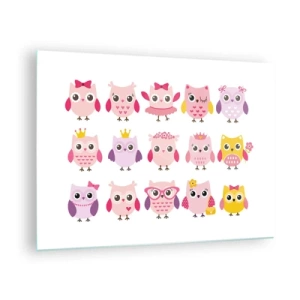Obraz na skle - Farebné sovy v rôznych vzoroch na bielom pozadí - 70x50cm - Jedna sladšia ako druhá - Moderná nástenná dekorácia do obývacej izby a spálne ARTTOR