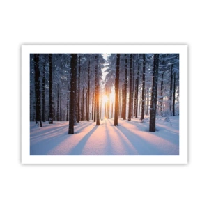 Plagát - Jasne čierne na bielom - 70x50 cm