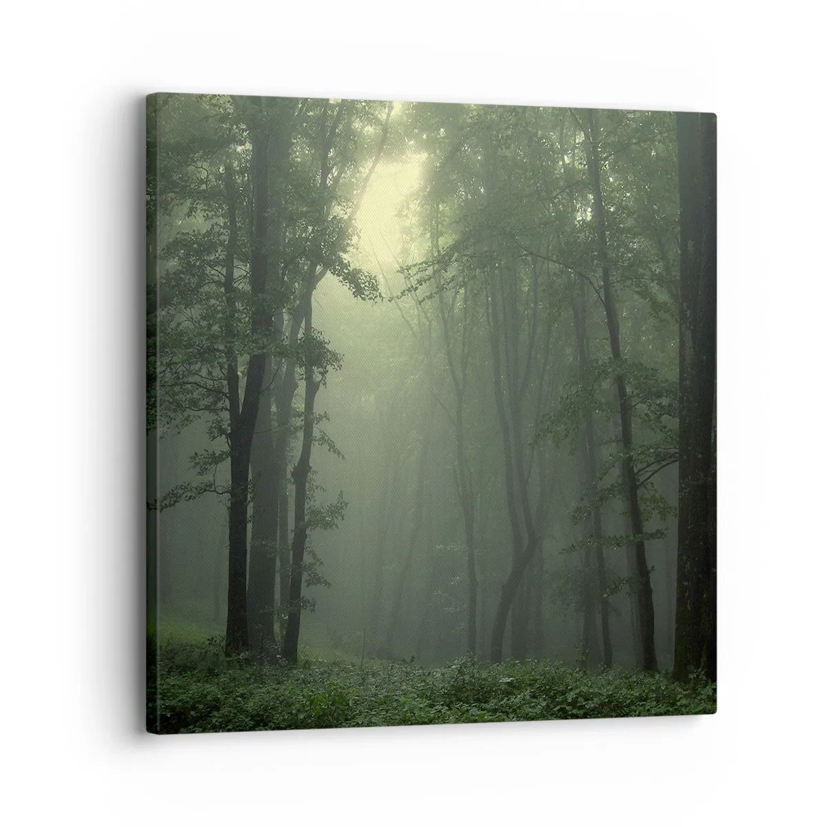 Obraz na plátne - Než sa prebudí - 30x30 cm
