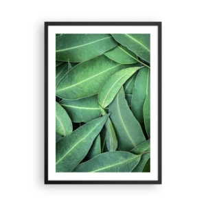 Plagát v čiernom ráme - Zelené listy usporiadané v hustej kompozícii - 50x70cm - Šťavnaté a svieže - Moderná nástenná dekorácia do obývacej izby a spálne ARTTOR