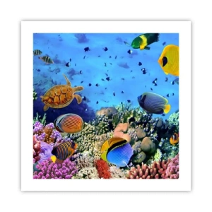 Plagát - Čo vieme o živote… - 50x50 cm