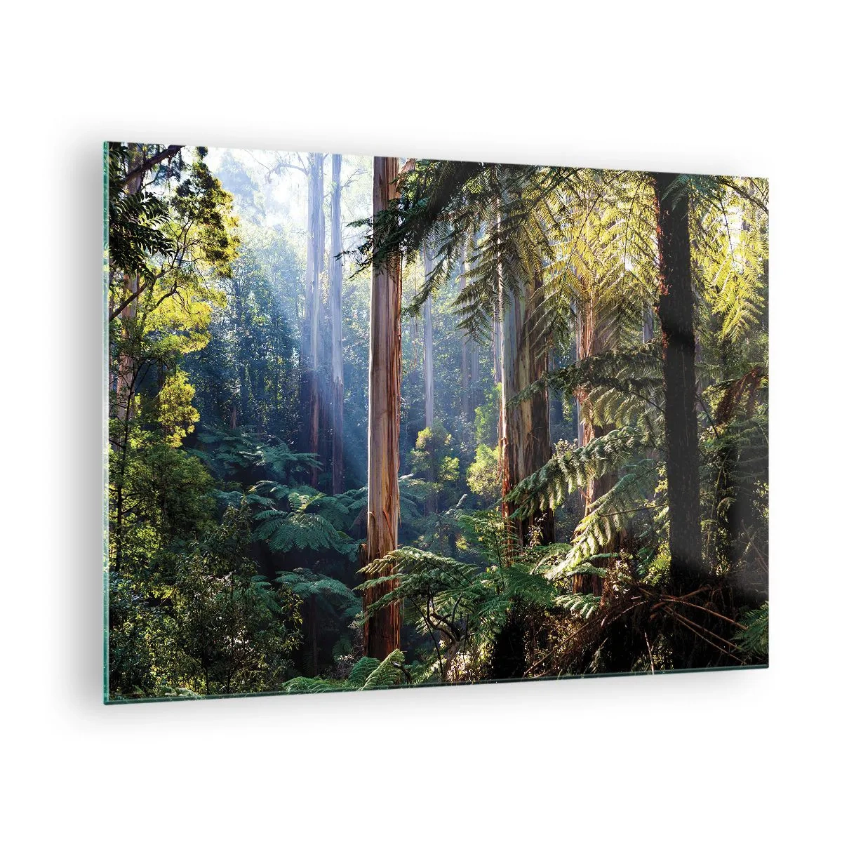 Obraz na skle - Zelený tropický les so slnečnými lúčmi - 70x50cm - Poviedka lesa - Moderná nástenná dekorácia do obývacej izby a spálne ARTTOR