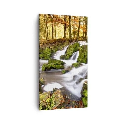 Obraz na plátne - Chvatom jesenným lesom - 45x80 cm