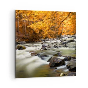 Obraz na plátne - Potok v zlatom lese - 50x50 cm