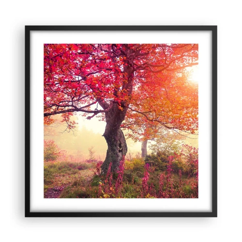 Plagát v čiernom ráme - Šialenstvo rozkvetu - 50x50 cm
