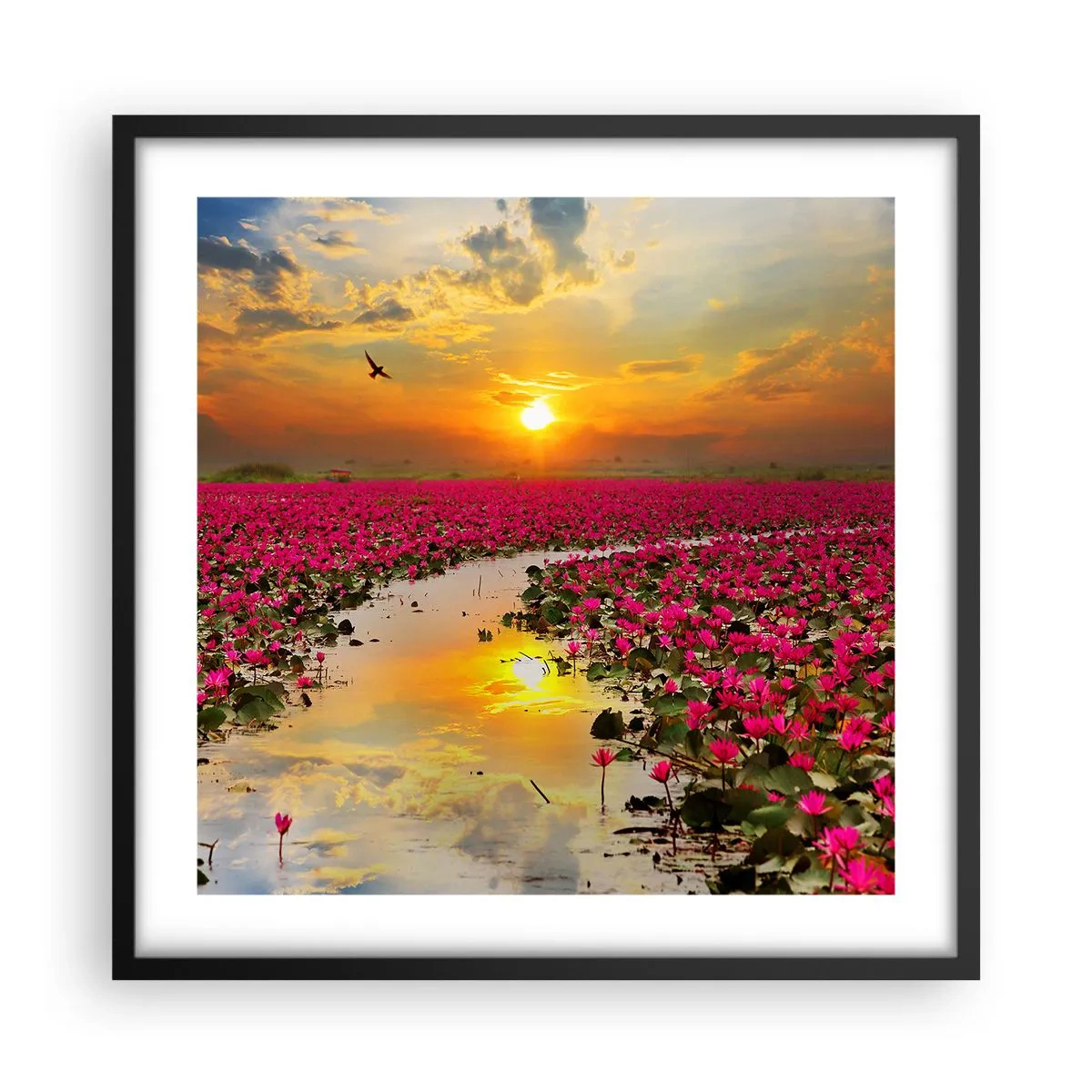 Plagát v čiernom ráme - Tajomný život jazera - 50x50 cm