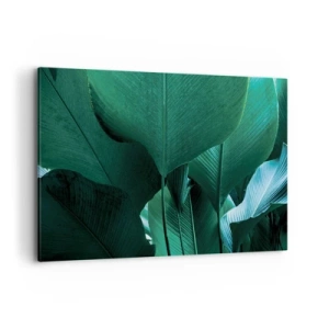 Obraz na plátne - Obrátené k svetlu - 120x80 cm