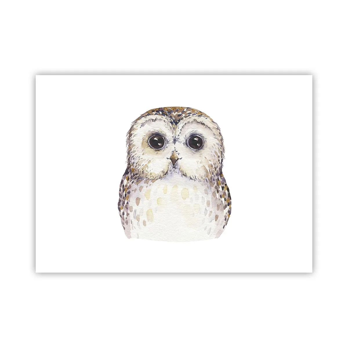 Plagát - Pozri sa mi do očí - 70x50 cm