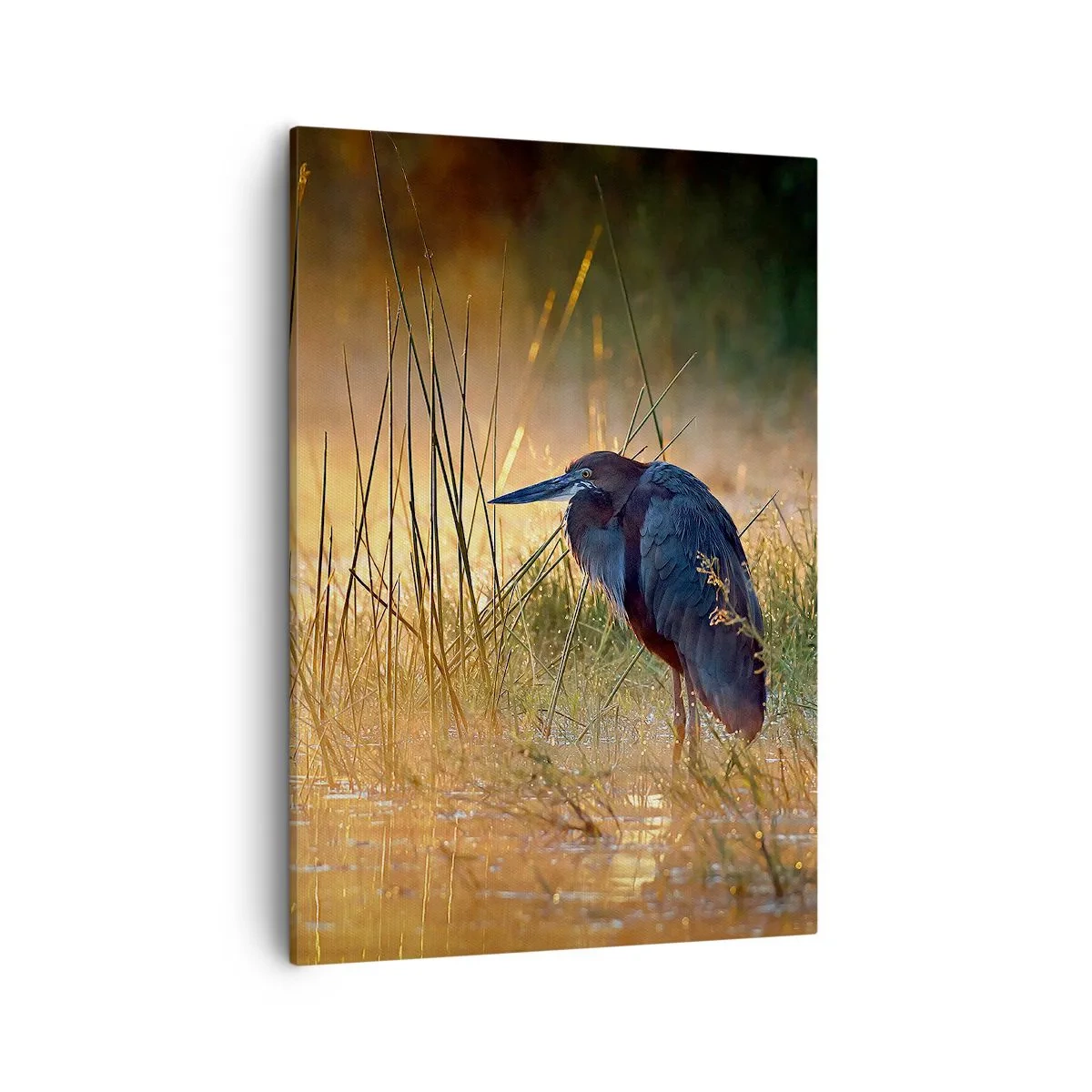 Obraz na plátne - Ušetrite ma tých fotiek - 50x70 cm