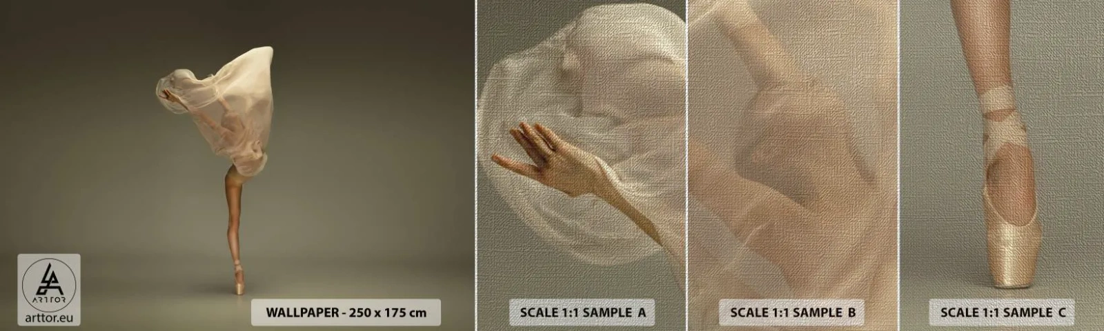 Vzorka fototapety Premium Canvas - Hneď poletí - Balerína, Tancujte, balet - 100x30 cm