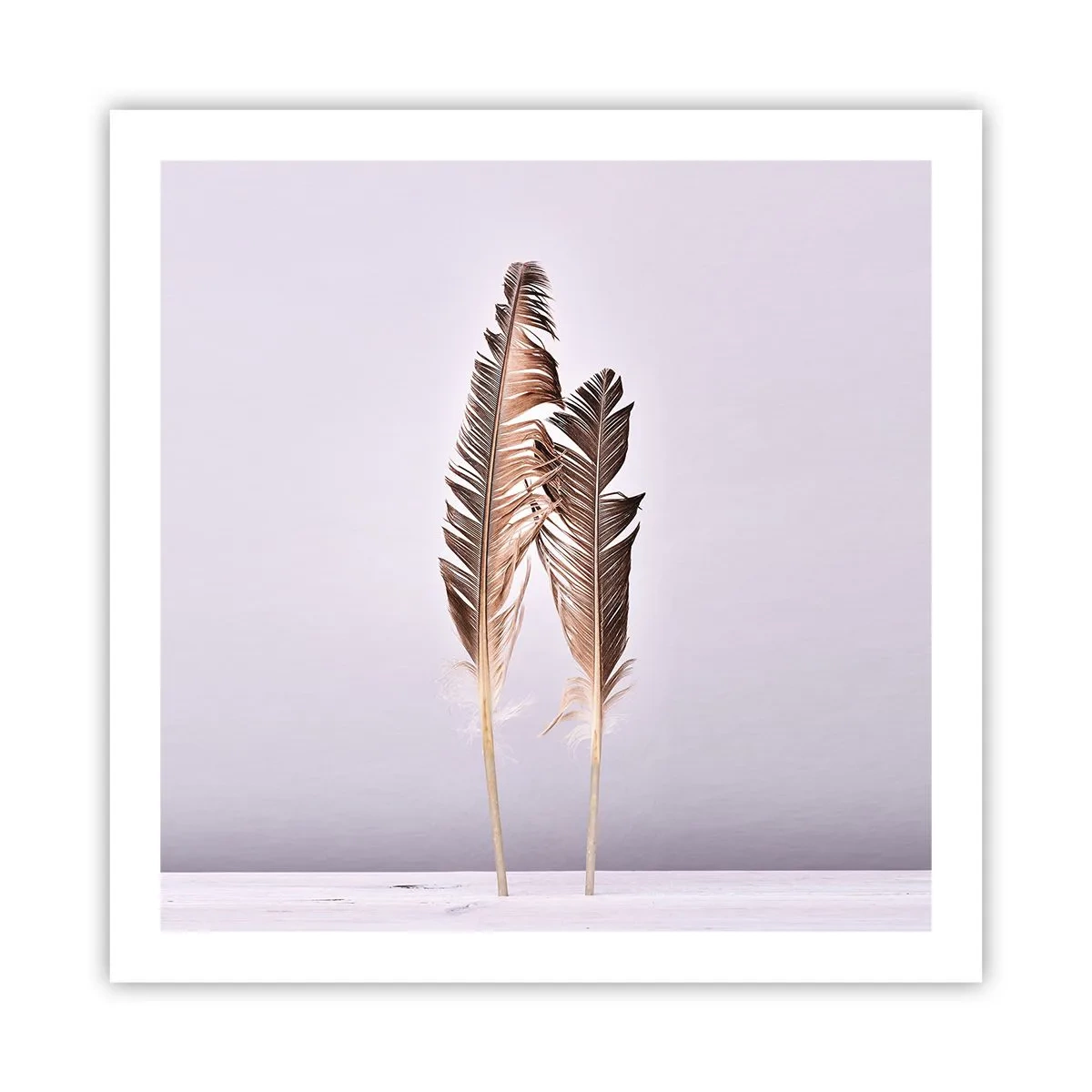 Plagát - Proti ničote - 60x60 cm