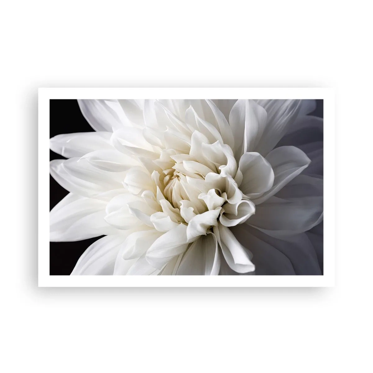 Plagát - Ráno s nevestou - 91x61 cm