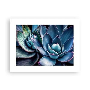 Plagát - Vitálna sila - 40x30 cm