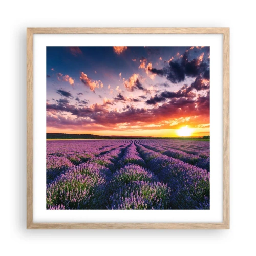 Plagát v ráme zo svetlého duba - Levanduľový svet - 50x50 cm