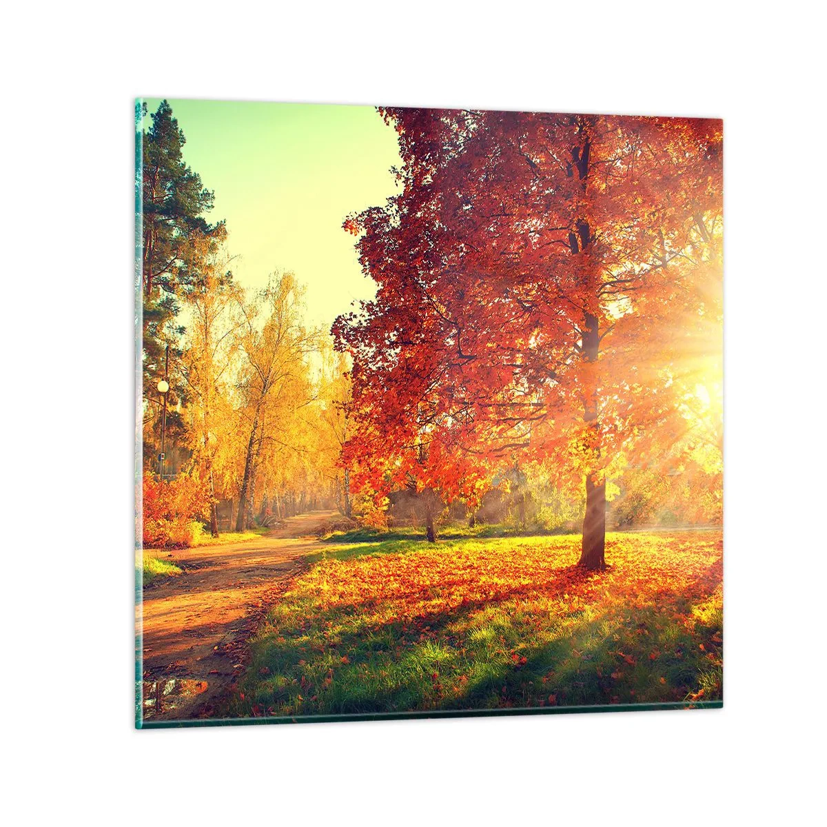 Obraz na skle - Červené je krásne - 70x70 cm