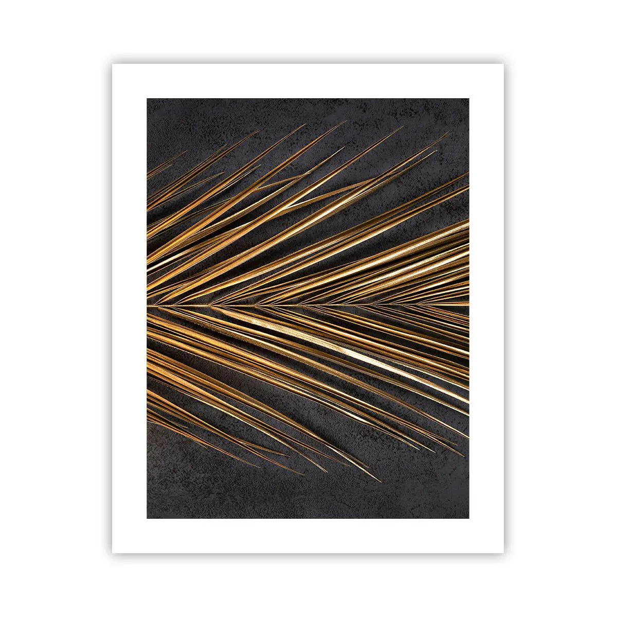 Plagát - Zlato trópov - 40x50 cm