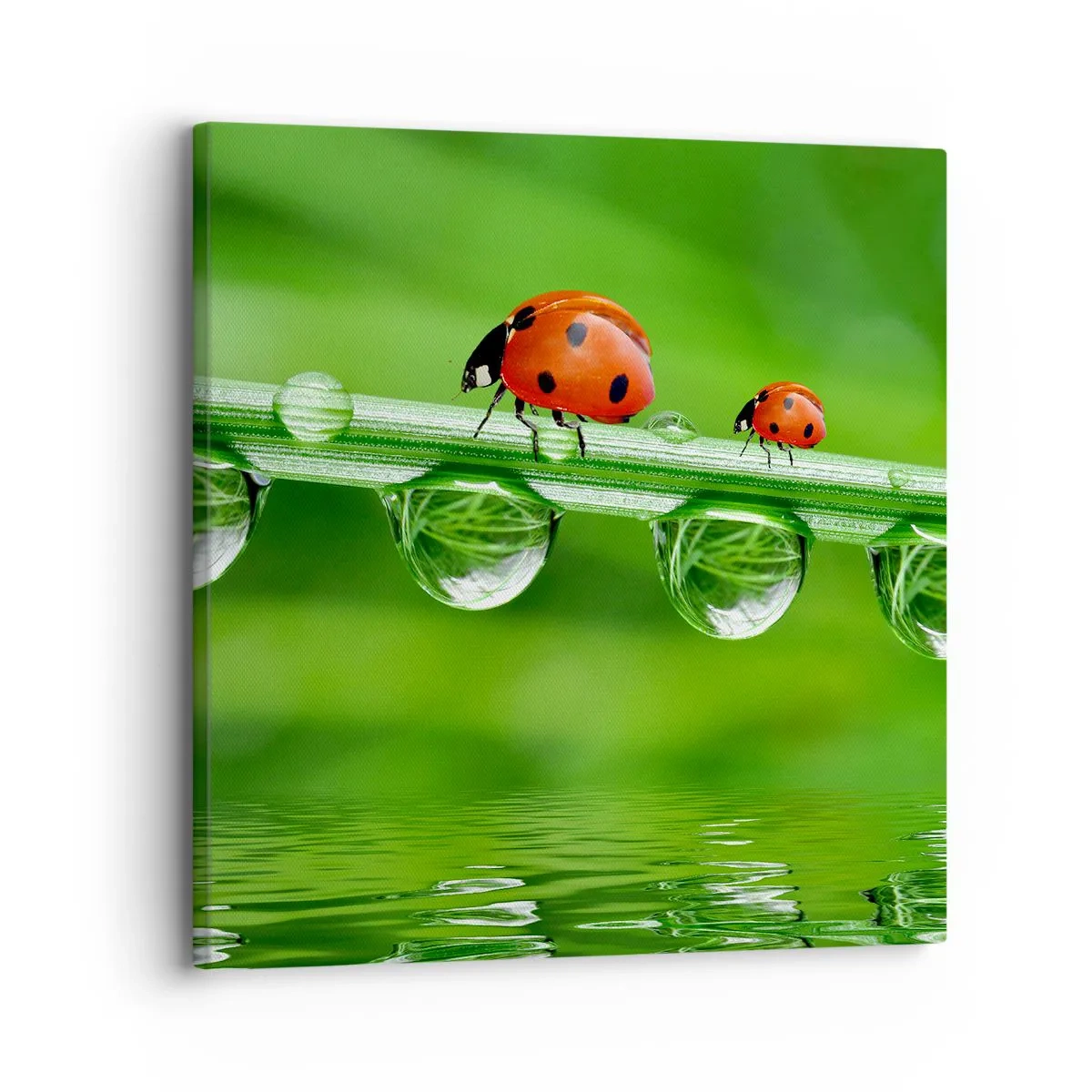 Obraz na plátne - Na cestách celé leto - 30x30 cm