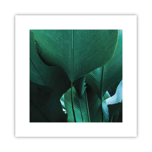 Plagát - Obrátené k svetlu - 30x30 cm