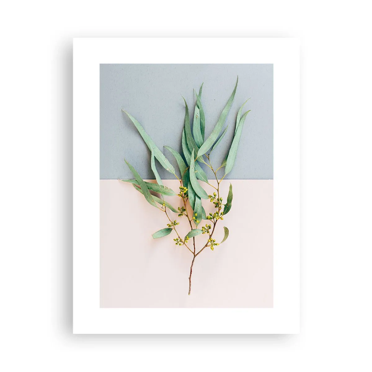 Plagát - Pastelová jemnosť - 30x40 cm