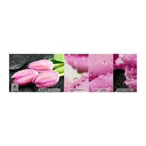 Vzorka fototapety Premium Sand - Ľaliová trojica na čiernom kameni - Kvety, Tulipány, Kytica kvetov - 100x30 cm
